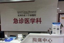 狗脑震荡的康复时间和关键因素（了解狗脑震荡的恢复时间和促进康复的关键因素）