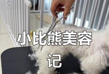 四个月比熊睡眠时间究竟有多长？（揭开四个月比熊睡眠时间的神秘面纱，让你更了解你的宠物）