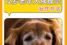 狗得胰腺炎能活多久？（胰腺炎狗的生存期与关键因素）