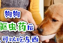 狗狗洗完澡后多久可以进食？（合理安排饮食时间对狗狗健康至关重要）