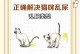猫咪怀孕软便怎么办？（帮助猫咪解决怀孕期间的软便问题）