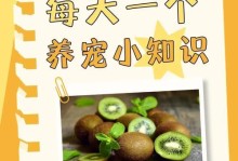 狗狗生后多久可以开始进食？（了解宝宝狗狗的饮食时间表）