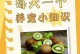 狗狗生后多久可以开始进食？（了解宝宝狗狗的饮食时间表）