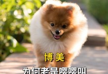 狗狗的叫声是什么意思？（探究狗狗叫声背后的含义和原因）