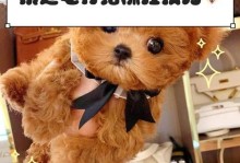 给泰迪狗驱虫的方法与技巧（保护你的泰迪狗免受寄生虫的侵害）