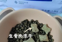 家庭治疗方法（简单有效的家庭治疗方法帮助猫咪恢复健康）