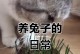 安哥拉长毛兔的饲养指南（成为合格的兔妈妈/兔爸爸，让它们健康快乐成长）