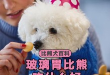 比熊犬毛发健康的秘诀（选择适合比熊犬的饮食和护理方案）
