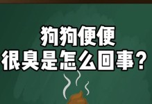 狗狗大便臭的原因及改善方法（了解臭便的根源，让狗狗健康无臭）