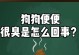 狗狗大便臭的原因及改善方法（了解臭便的根源，让狗狗健康无臭）