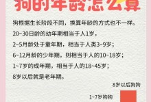 狗的生长阶段（探索狗猛长期的关键时刻及如何应对）