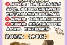 猫咪绝育（为什么、什么时候以及如何给猫咪绝育？）