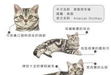 家庭养猫必备的急救药品（保障猫咪健康，急救药品不能少）