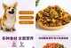 以法斗喂养的最佳狗粮选择（为你的法斗选择健康均衡的狗粮）