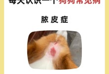 犬皮肤病的治疗方法及药物选择（解析犬皮肤病的原因、常见药物及治疗效果）
