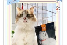 猫猫最喜欢的食物是什么？（探秘猫咪最爱的美食盛宴）