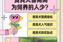 贵宾犬（为何贵宾犬备受喜爱，解析其独特魅力）