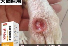 宠物小猫伤口溃烂，腿部受伤怎么办？（小猫腿部溃烂的治疗、护理与预防）