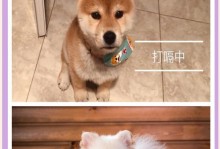 狗狗打嗝的应对措施（如何帮助狗狗缓解打嗝问题）