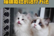 治疗猫咪子宫脱出的有效方法（探究猫咪子宫脱出的症状、原因与治疗）