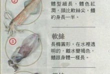 如何正确饲养泰国虎作为宠物（掌握正确的饲养方法，让你的泰国虎健康成长）