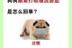 小狗流鼻涕的原因及应对措施（如何处理小狗流鼻涕问题，帮助宠物恢复健康）