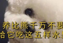 比熊幼犬可食用的水果有哪些？（了解比熊幼犬的水果饮食需求，让它们保持健康和活力）