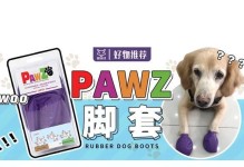 狗狗咬主人脚的原因及解决方法（了解狗狗咬主人脚的行为意义，有效避免伤害）