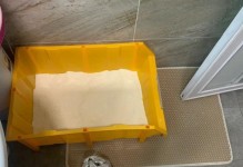 猫拉屎的样子与健康相关吗？（了解猫的排便情况对它的健康监测至关重要）