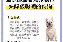 以巴吉度犬价格调查（不同地域、不同价格，揭秘以巴吉度犬的价格差异）