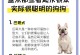 以巴吉度犬价格调查（不同地域、不同价格，揭秘以巴吉度犬的价格差异）