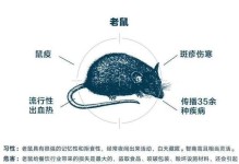 花斑仓鼠的饲养方法（让你的花斑仓鼠健康快乐生活）