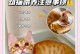 如何正确喂养猫咪以减少拉稀频率（3个关键要点，让你的猫咪告别拉稀困扰）
