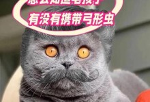 接触狗狗多久可以查出弓形虫？（了解弓形虫感染时间，保护自己和宠物的健康）