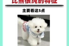 比熊的标准体重解说（了解比熊犬的理想体重和健康管理）