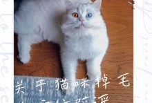 猫咪趾间毛修建技巧大揭秘（打造干净整洁的猫咪小脚丫，让主人和宠物更加舒心）