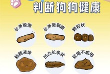 狗狗健康（了解狗狗健康的重要指标及相关注意事项）