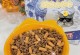 如何科学地给猫咪增重？（为你的瘦猫提供合适的饮食和健康建议）