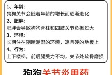 如何缓解宠物狗狗的关节炎（预防、治疗和护理，让您的爱宠健康美好）