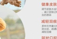 泰迪宝宝，提升肌肤抵抗力的小秘密（泰迪专属饮食计划助你的皮肤健康亮丽）