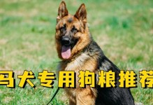 如何为以马犬的小狗提供健康饮食？（以马犬母狗产后喂养和小狗的饮食需求）