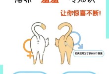 养公猫的利与弊（探讨养公猫的优点和缺点）