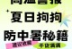 泰迪中暑的症状和预防措施（了解泰迪中暑的表现，让我们一起保护它们的健康！）