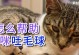 猫咪吐毛球的原因及解决方法（保护宠物猫的胃肠健康，有效避免毛球问题）