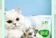 喂猫咪狗粮？了解如何选择适合的猫粮（为您的猫咪提供均衡的营养，关键在于选对猫粮！）