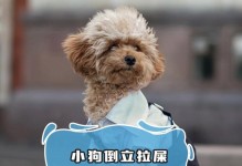 狗的大小便与健康（从大小便了解狗的健康状况）