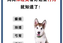 狗狗受凉的症状及处理方法（狗狗受凉引起的常见症状和预防措施）