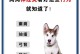 狗狗受凉的症状及处理方法（狗狗受凉引起的常见症状和预防措施）