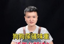 消除狗狗身上的尿味（宠物爱护小技巧，教你轻松解决狗狗身上的尿味问题）