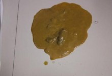 金毛犬1岁呕吐的原因及处理方法（了解呕吐背后的原因，及时应对金毛犬的身体不适）